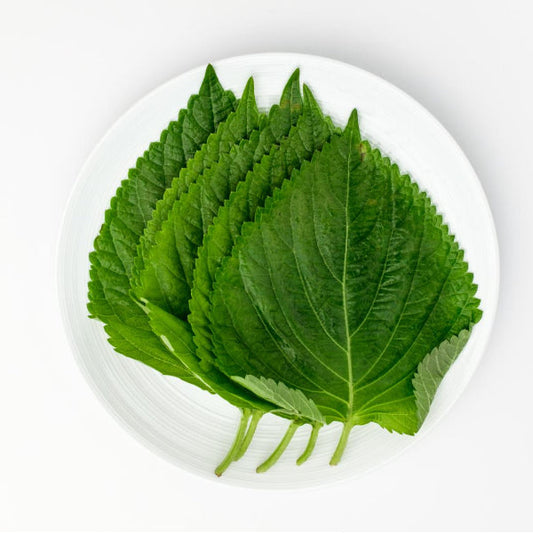 깻잎 (2단/봉지)