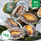 Frozen Abalone 1kg XL (11-13EA)