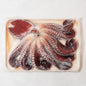 Korean East Coast octopus 2kg
