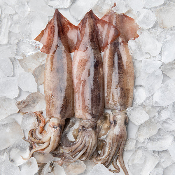 SQUID SLICE 300g