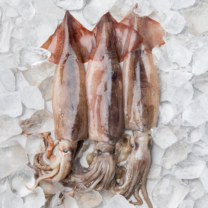 SQUID SLICE 300g