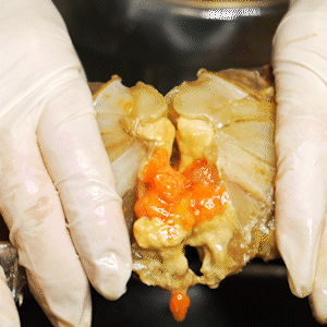 PREMIUM YUMMY CRAB WITH SOY SAUCE 1.5kg (female crab 280~320g)