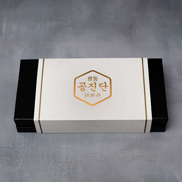 광동 공진단 10환