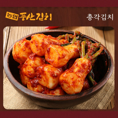 NH-Pungsan Kimchi-Ponytail Radish-Whole 800g