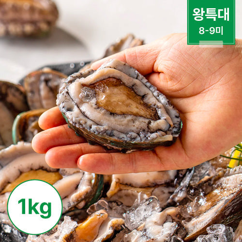 전복 1kg 1팩 (8미~9미) (VVIP왕특대)