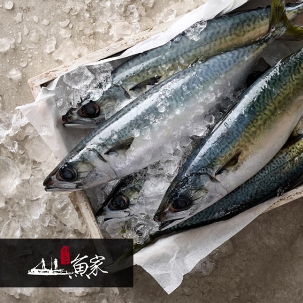 Jeju Frozen Mackerel Fillet 500g